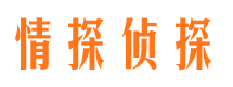 于洪市侦探公司